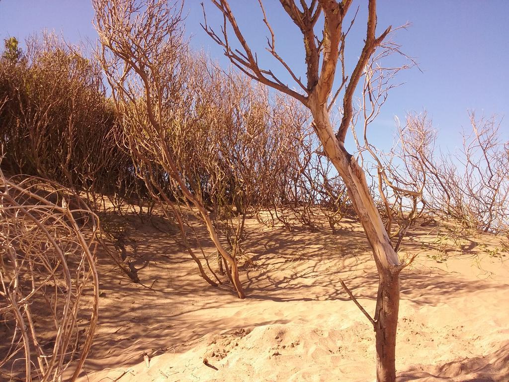 Cabanas Hurra Pampa Mar de Las Pampas Esterno foto